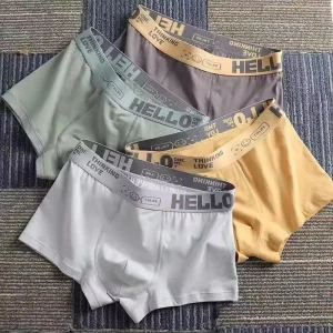 Seluar Dalam Lelaki, Bahan Lycra, Berkualiti Tinggi, Bahan Perak Besi, 5 Seluar Dalam, Reka Bentuk Kadbod, Saiz Besar XL-3XL, Harga Mahal, Sangat Selesa