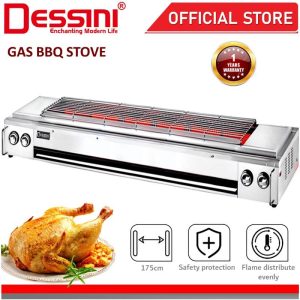 DESSINI ITALY CE Approval 2800Pa Gas BBQ Grill Stove Non Stick Stainless Steel Roast Bake Barbecue Roaster Electric Fan